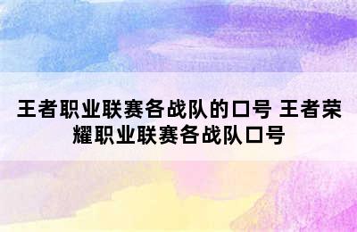 王者职业联赛各战队的口号 王者荣耀职业联赛各战队口号